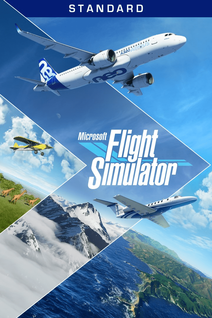 Microsoft Flight Simulator